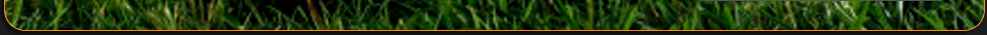 bottom_bar